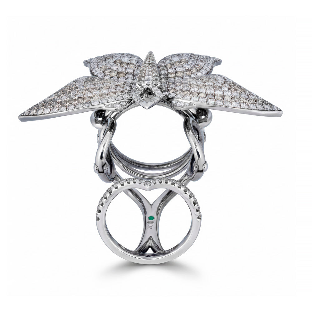 The Moth Ring